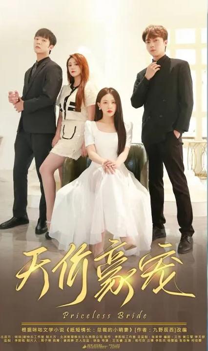 天价豪宠&纸短情长:总裁的小萌妻