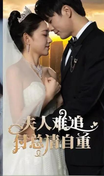 夫人难追,付总请自重